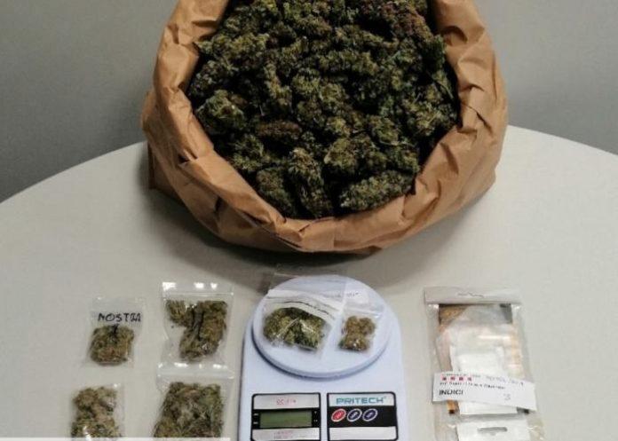 marihuana_lleida